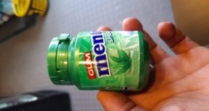 Mentos Pure Fresh Spearmint Sugar Free Gum 56g Bottle